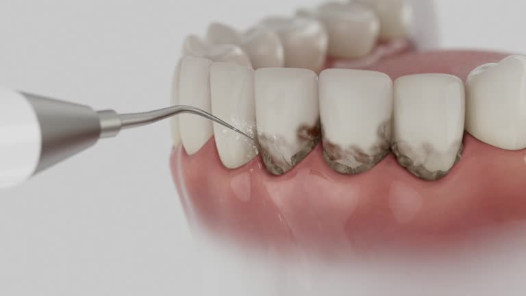 Reliable Dental contractor in Jamestown, NC by Dentist Open Now